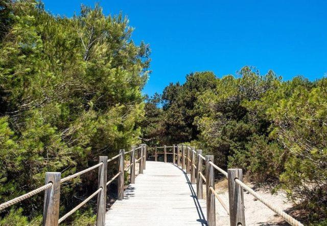 Mercuri Blanc * Sant Jordi de ses Salines